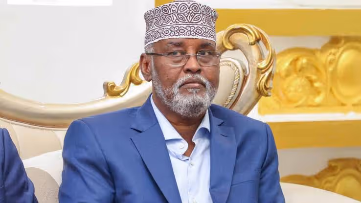 Jubaland oo ku eedeysay Turkiga iyo Madaxweynaha Soomaaliya duqeyn ka dhacday Doolow
