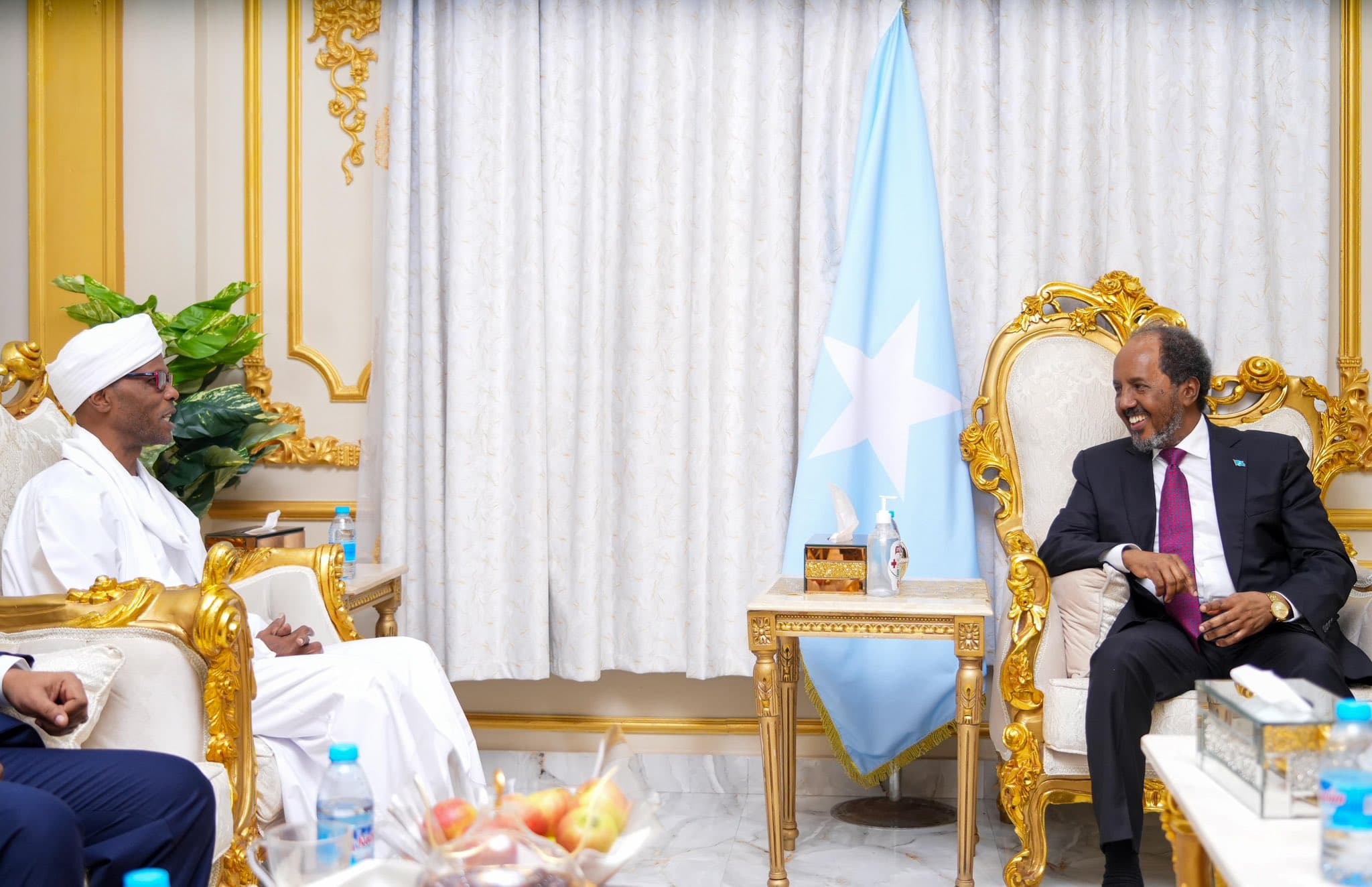 Soomaaliya oo Ballan-qaadday Taageerada Nabadda iyo Xasilloonida Suudaan