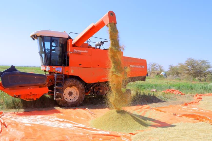 Guul laga gaaray tijaabada beerista bariiska ee Godey