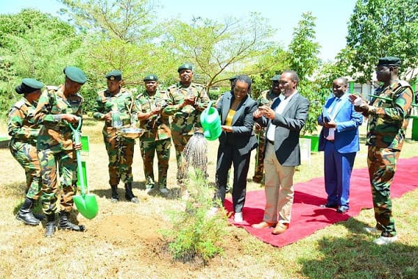 Kenya oo qorsheyneysa in ay abuurto 100 milyan oo geed