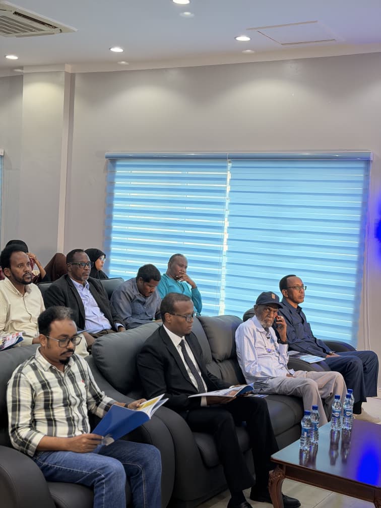 Soomaaliya oo tallaabo u qaadday Soomaaliyaynta Cilmiga Saybarka