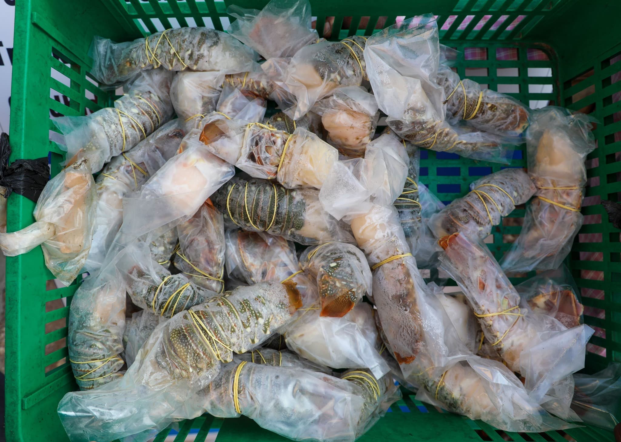 Puntland oo ka dhigtay jebinta amarka lagu mamnuucay kalluumeysiga Aargoostada