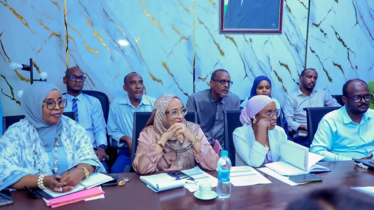 Khubaro UNESCO ah oo qiimeyn ku sameynaya goobta taariikhiga ah ee Abourma
