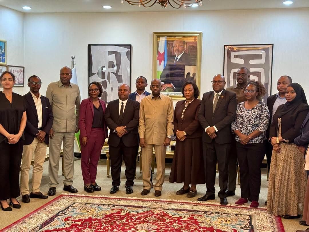 Jabuuti iyo Tanzania oo ka Wada-hadlay Iskaashiga Tamarta La Cusboonaysiin Karo