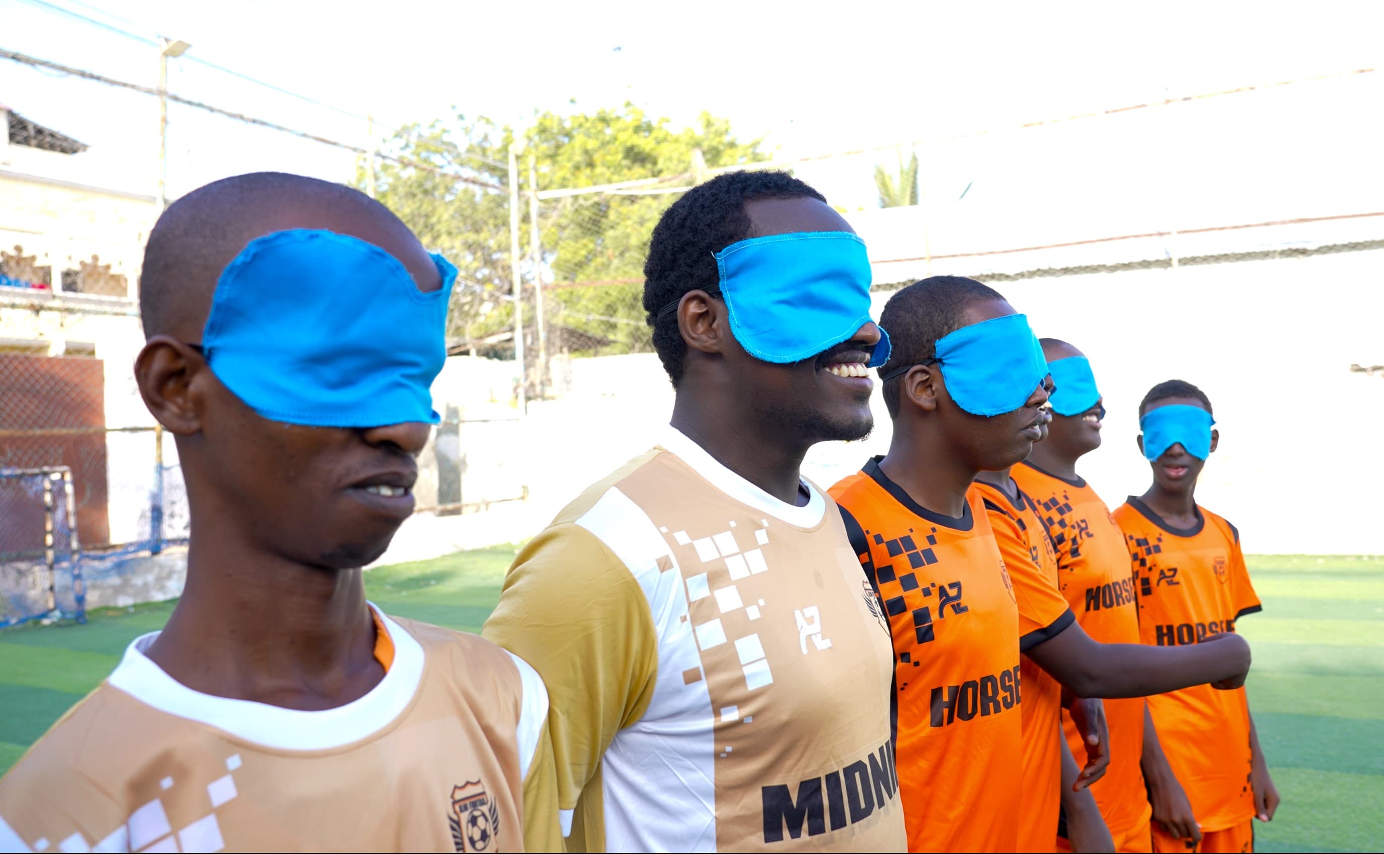 kooxaha Horseed iyo Midnimo ee aragga la'