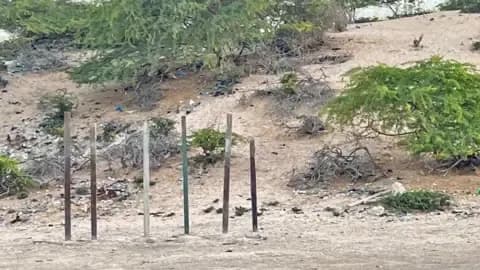 QM oo Soomaaliya ugu baaqday inay joojiso xukunka dilka