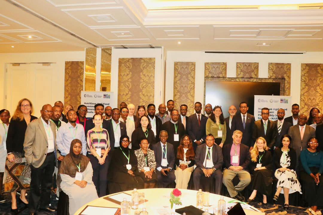 Soomaaliya oo $1.38 bilyan ku maalgelinaysa horumarinta beeraha