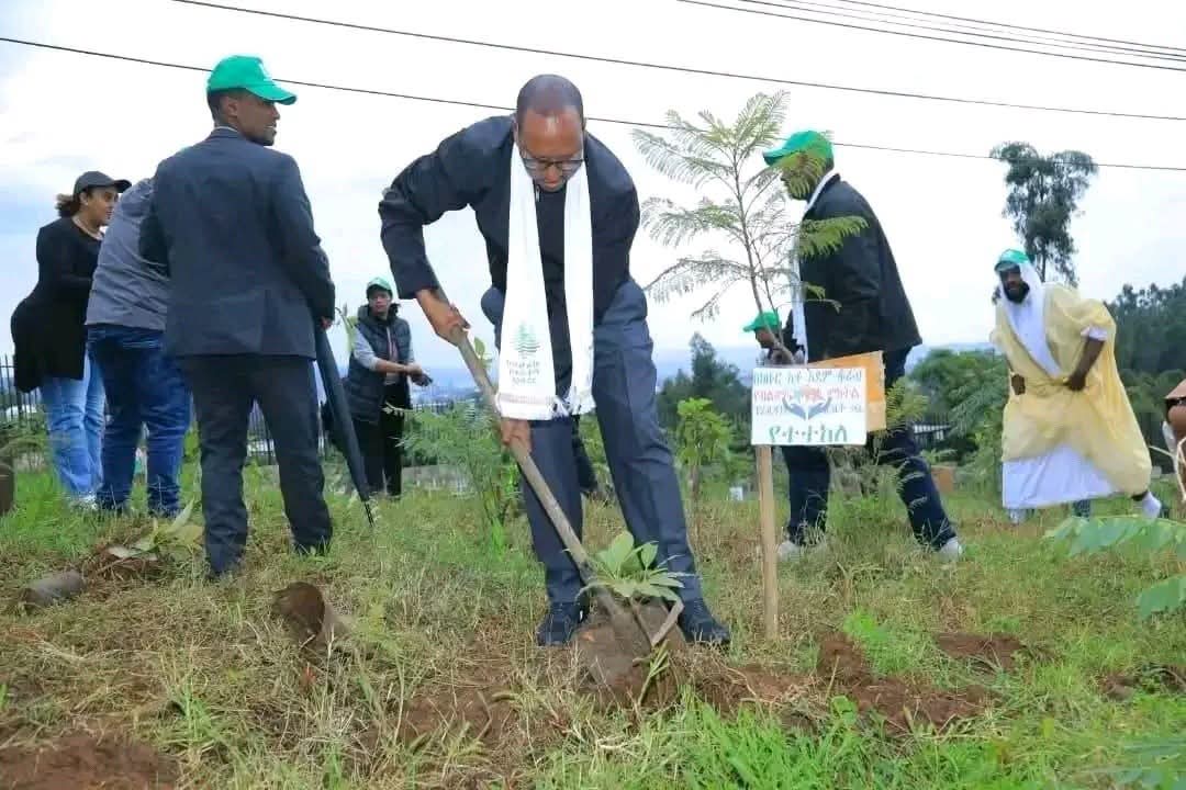 Dowlad Deegaanka Soomaalida oo hal maalin ku beeray in ka badan 2 milyan oo geed