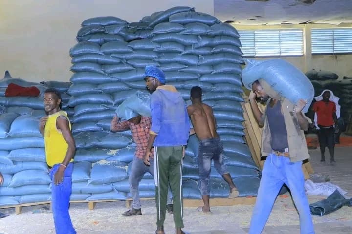 DDS oo u diyaar garowday xilliga abuurka beeraha
