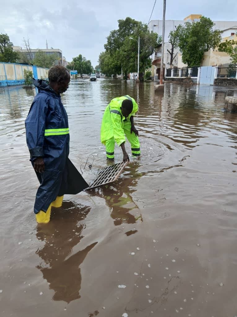 Roobab mahiigaan ah oo hakiyay waxbarashada Jabuuti