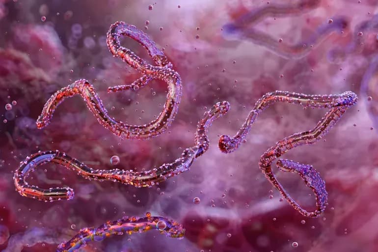  Itoobiya oo diiwangelisay kiis cusub oo fayraska Marburg ah