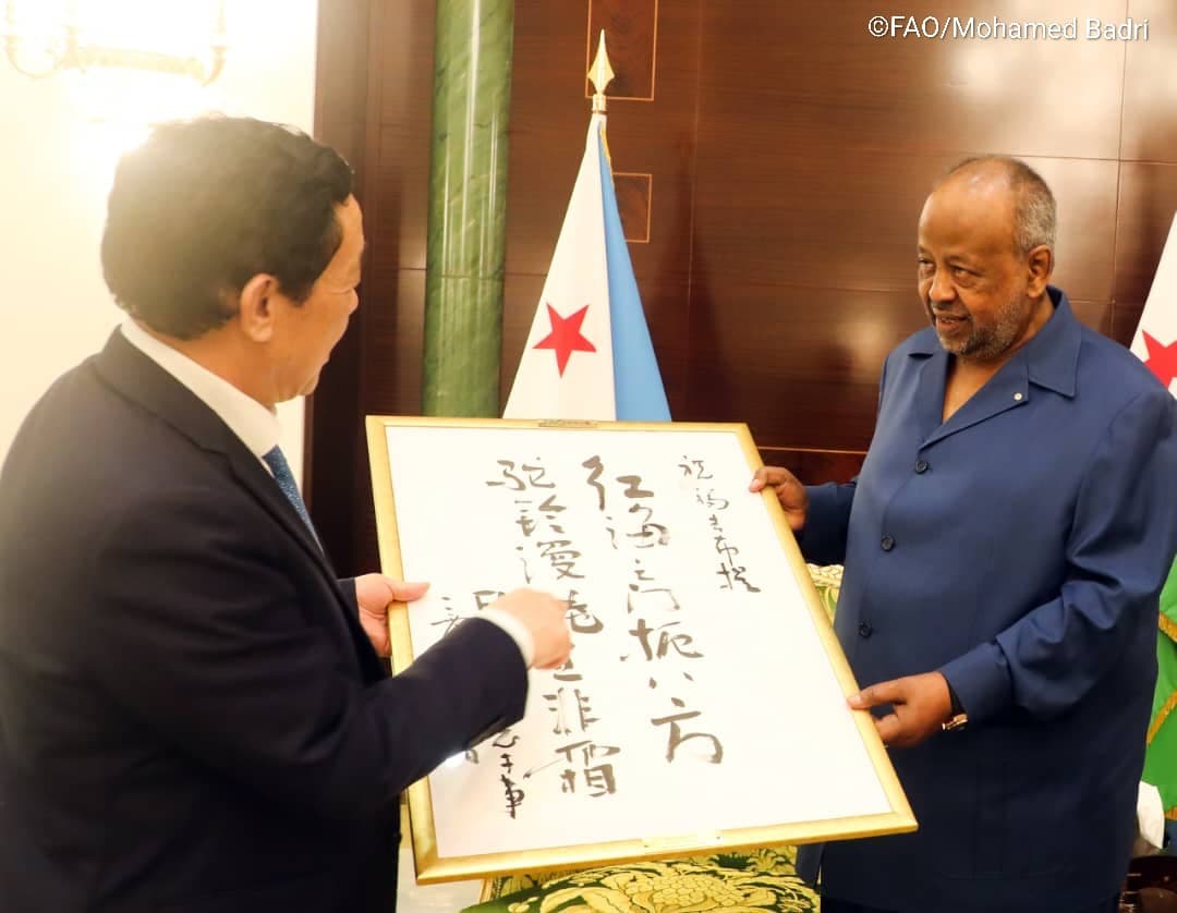 Jabuuti oo ka heshay FAO Ballan-qaad Maaliyadeed oo Lagu Maalgelinayo Xoolaha iyo Beeraha