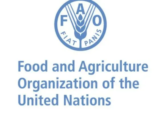FAO OO KALA SHAQEYNAYSA SOOMAALIYA KU BIIRISTA DAGAALKA  KA DHANKA AH ISBEDDELKA CIMILADA