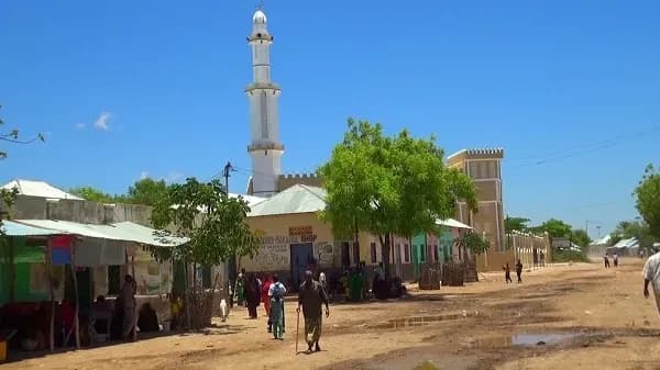 Bardaale oo  lagu Dilay Horjooge Ka Tirsanaa Al-Shabaab