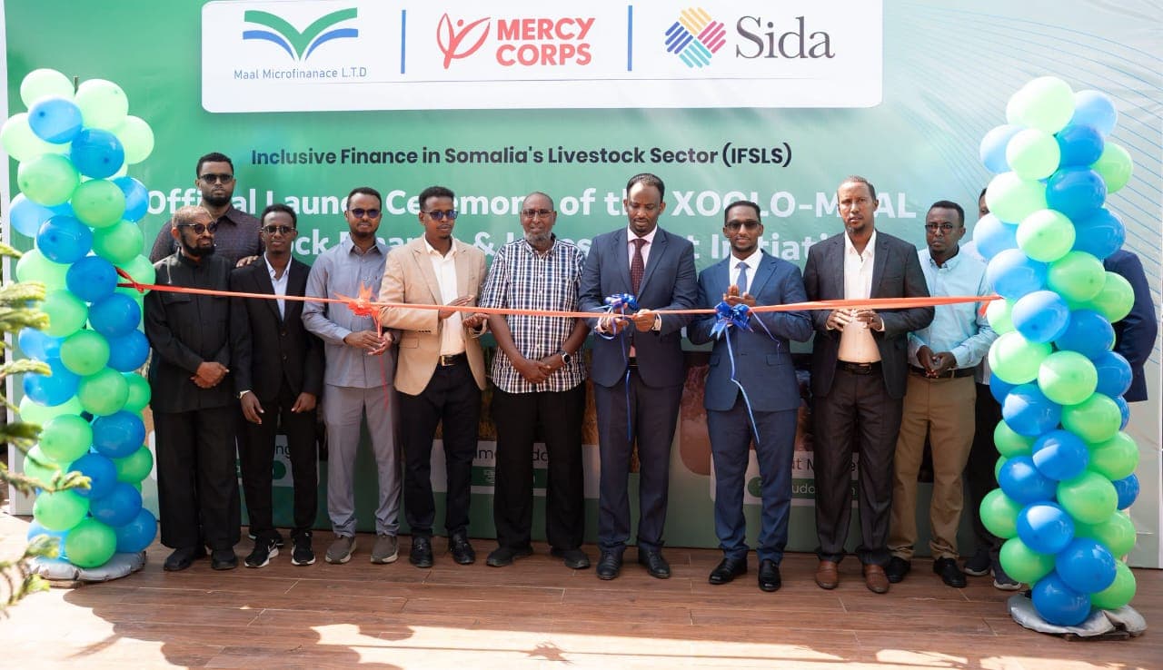 Soomaaliya oo daahfurtay wajiga labaad ee barnaamijka maalgelinta xoolaha ee XOOLO-Maal