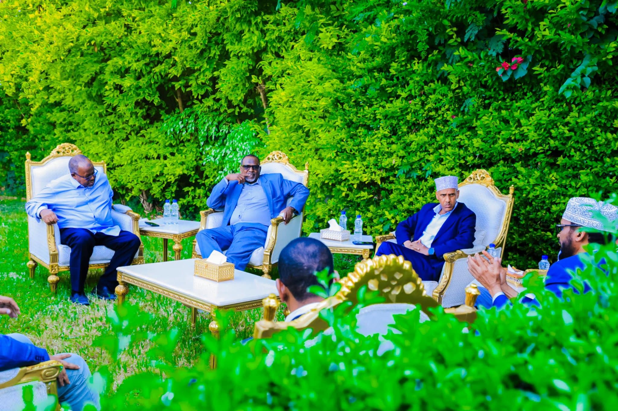 Madaxweynaha Dowlad Deegaanka Soomaalida oo Kulan La Qaatay Saamileyda Siyaasadeed.