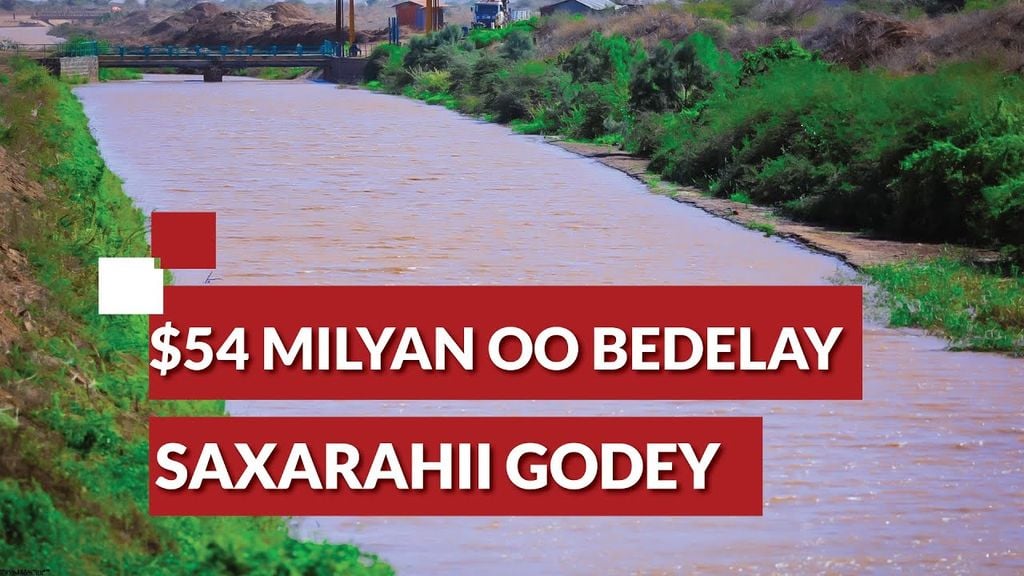 Waa kuma afhayeenka cusub ee mucaaradka Soomaaliya?