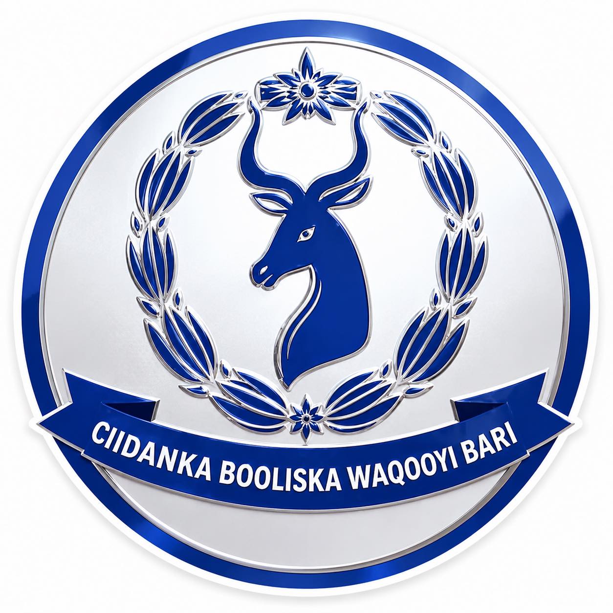 Waqooyi Bari oo muddo u qabatay is-diiwaangelinta dhakhaatiirta