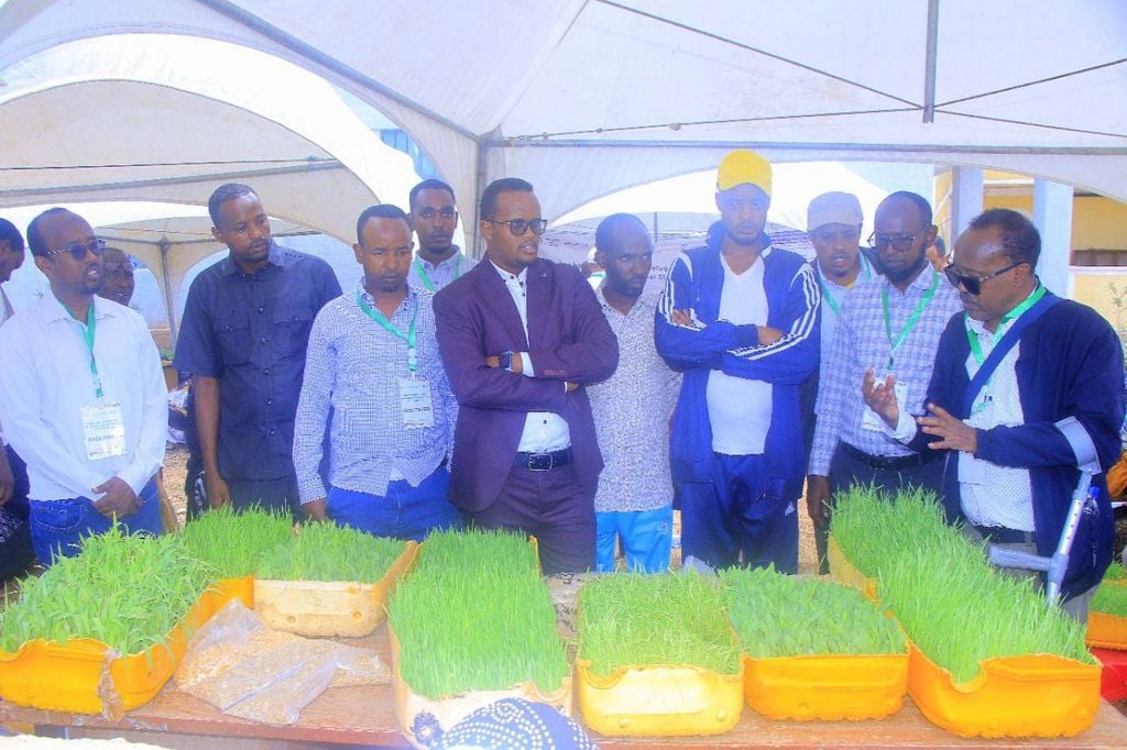 Bandhig Calaf &amp; Caano oo Ka Dhacay Qabribayax