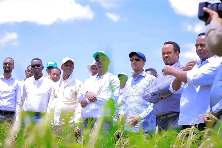 DDS: Tijaabada beerista Bariiska waa lagu guuleystay