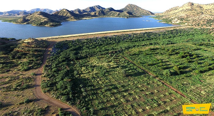 Mashaariicda Beeraha Gash Barka oo ka qeyb qaadanaya horumarka Eritrea