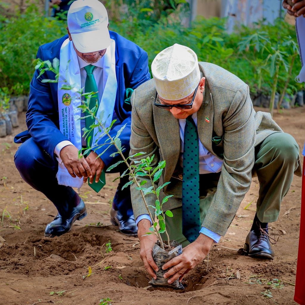 Madaxweynaha Somaliland oo Ka Qayb Galay Xuska Maalinta Dhir-Beerista.
