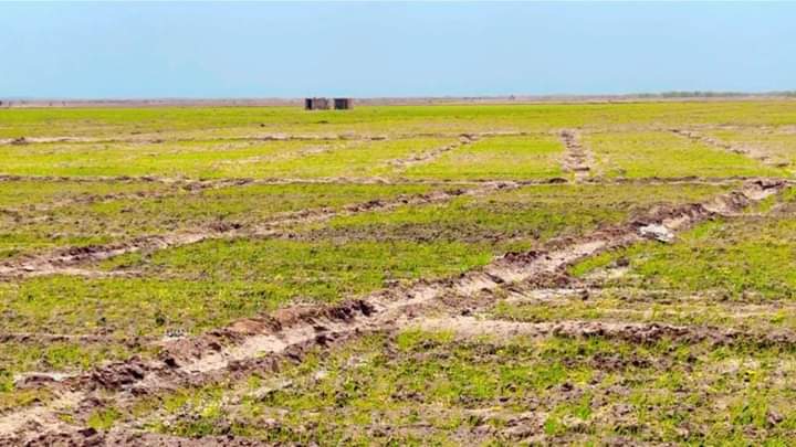 Dowlad Deegaanka Soomaalida iyo wax soo saarka  Beeraha