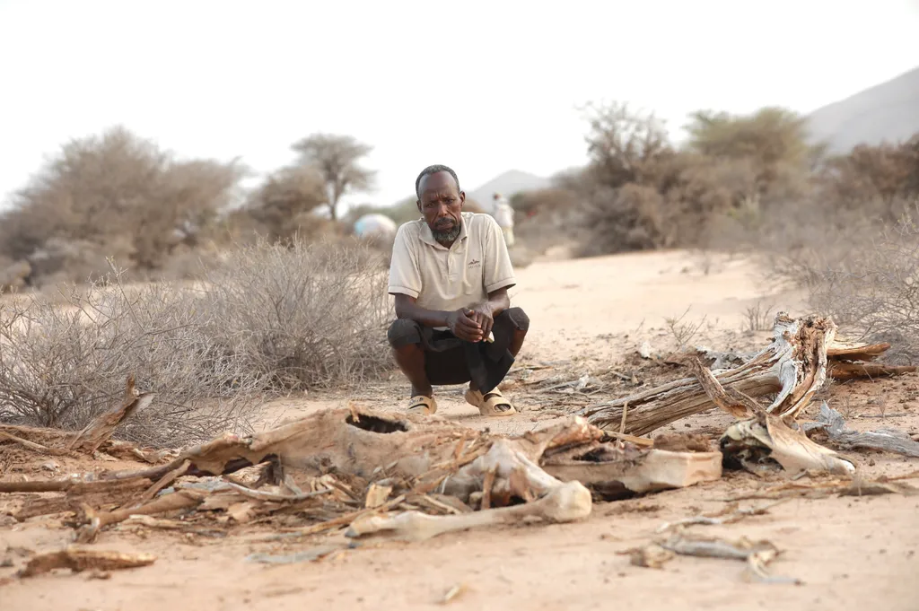 Somaliland oo $700,000 Gargaar Lacageed ah kaheshay Soomaaliya