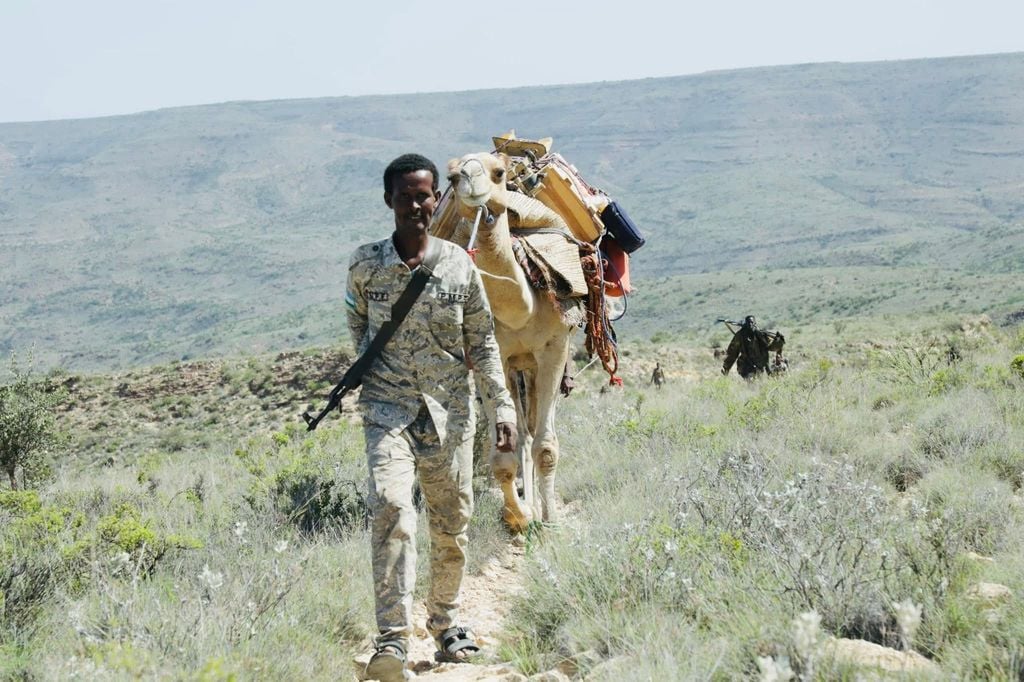 Sarkaal Ka Tirsanaa Daacish oo Lagu Dilay Cal Miskaad