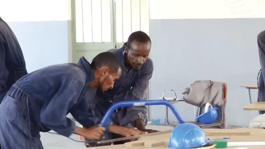 Ku Dhawaad 600 Oo Arday Oo Loo Soo Xiray Xirfadaha Gacanta