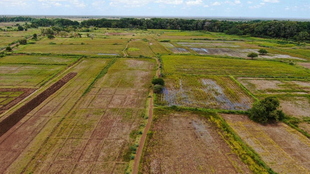 Soomaaliya oo Tan iyo Burburkii kadib Qaadaysa Imtixaanka Beeraha