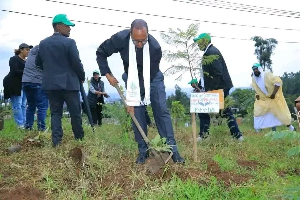 Dowlad Deegaanka Soomaalida oo hal maalin ku beeray in ka badan 2 milyan oo geed