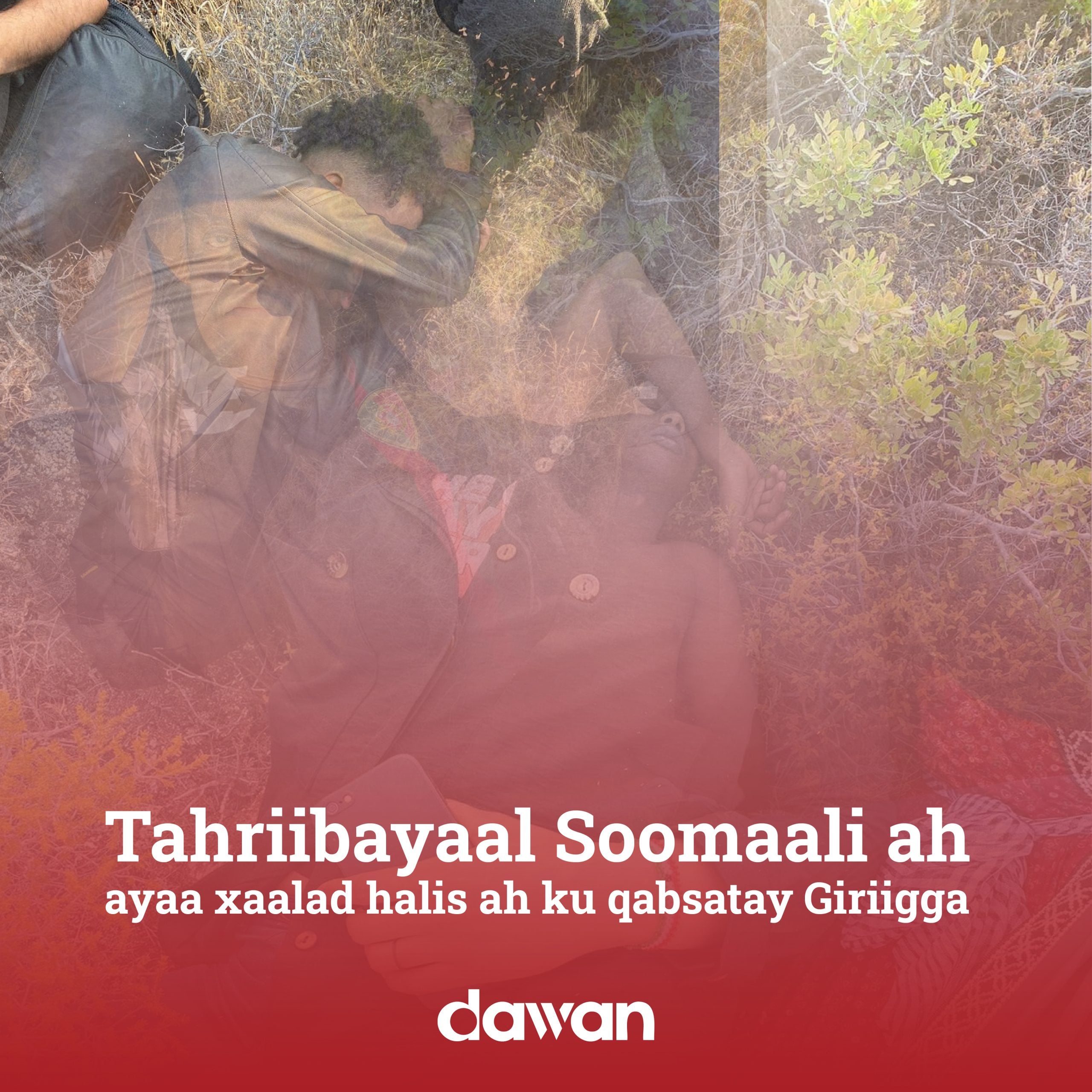 Tahriibayaal Soomaali ah oo xaalad halis ah  ku qabsatay Giriigga