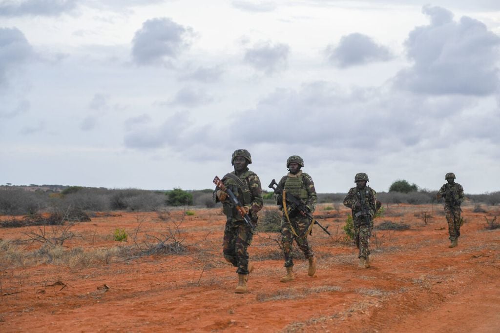 Infographic: Waa maxay shaqada ciidamada nabad ilaalinta Midowga Afirca?