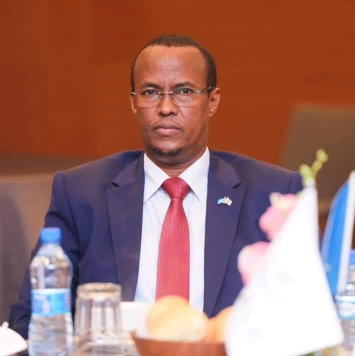 Hirshabelle: Dastuurkan wuxuu horseedayaa xasillooni iyo horumar