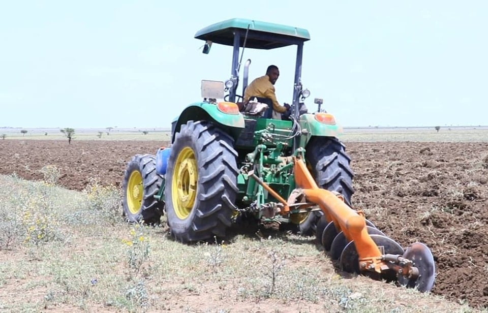 Qorshaha iskutashiga wax soo saarka beeraha ee DDS oo xoogeystay