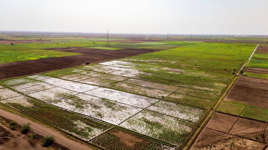 Dowlad Deegaanka oo ballaarisay mashruuca wax soo saarka Godey