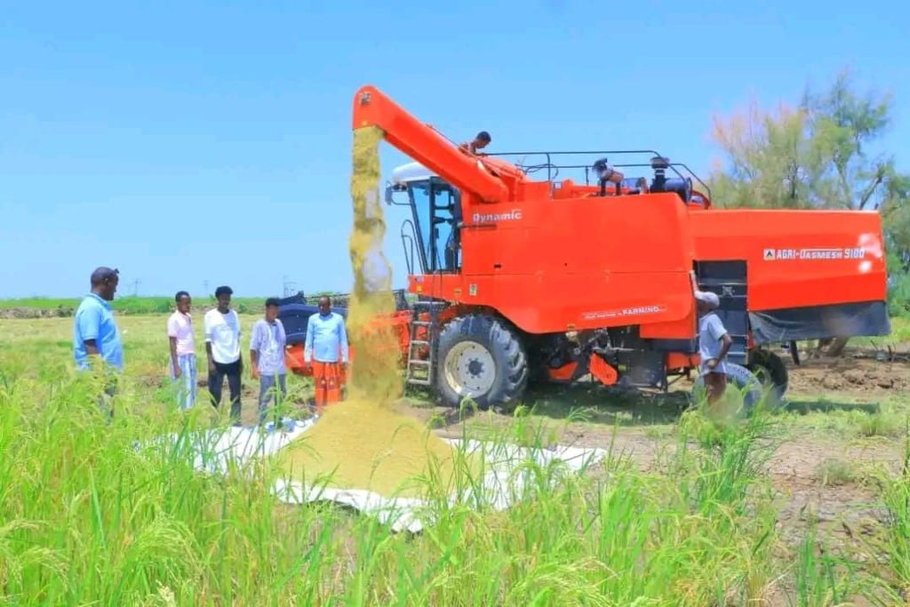 DDS... Soo goynta Bariiska Sitti oo la billaabay