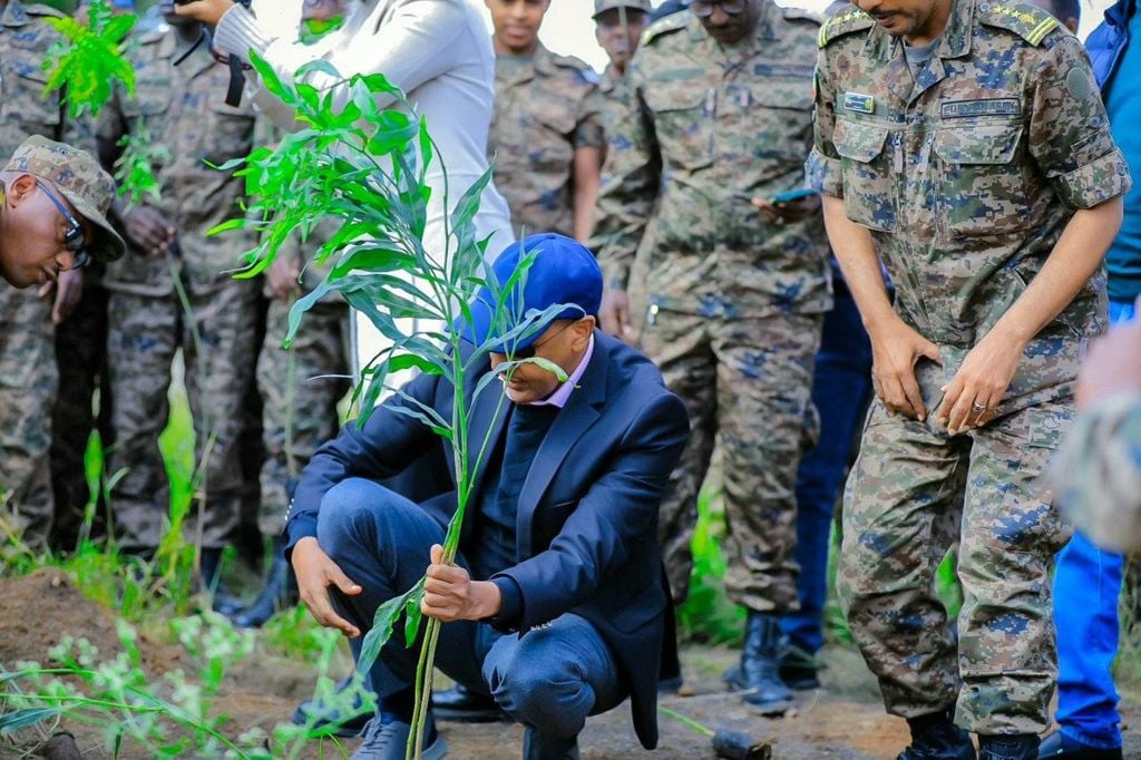 DDS... Shabeeley oo lagu beeray 25,000 oo geed