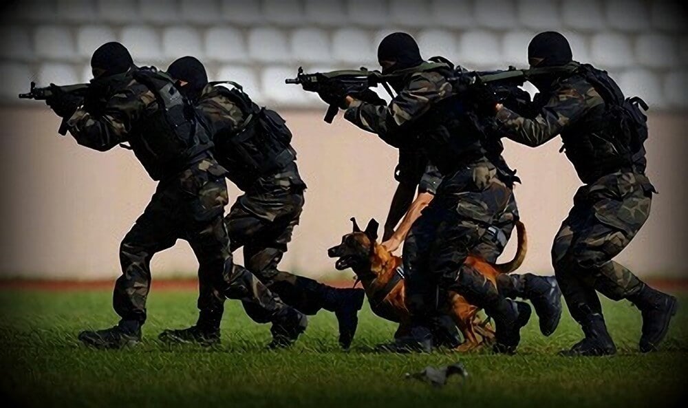 Shirkad Turki ah oo soo bandhigtay inay taageeryso Soomaaliya