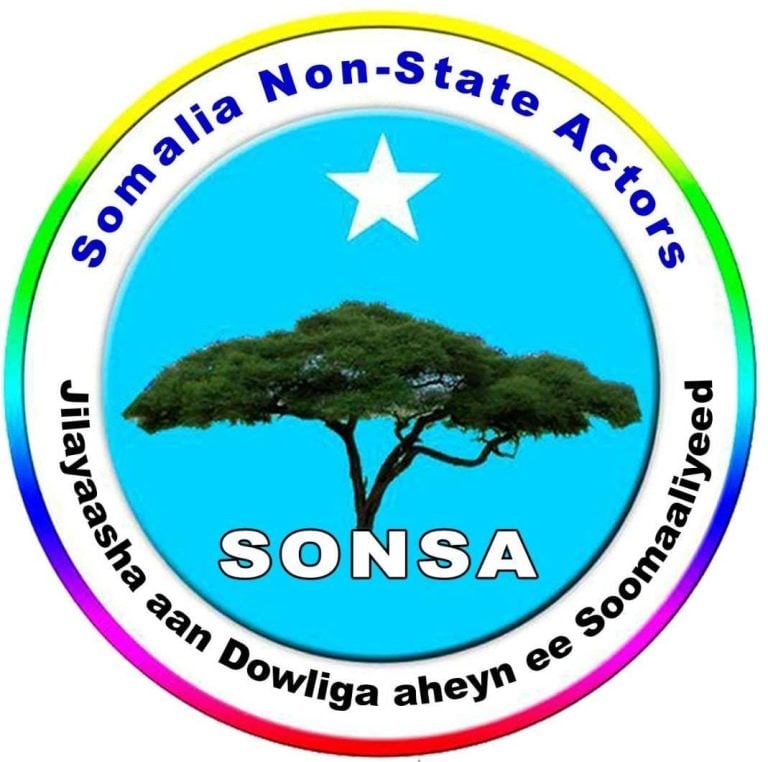 Bulshada Rayidka oo ka hortimid magacaabista Golaha Warbaahinta