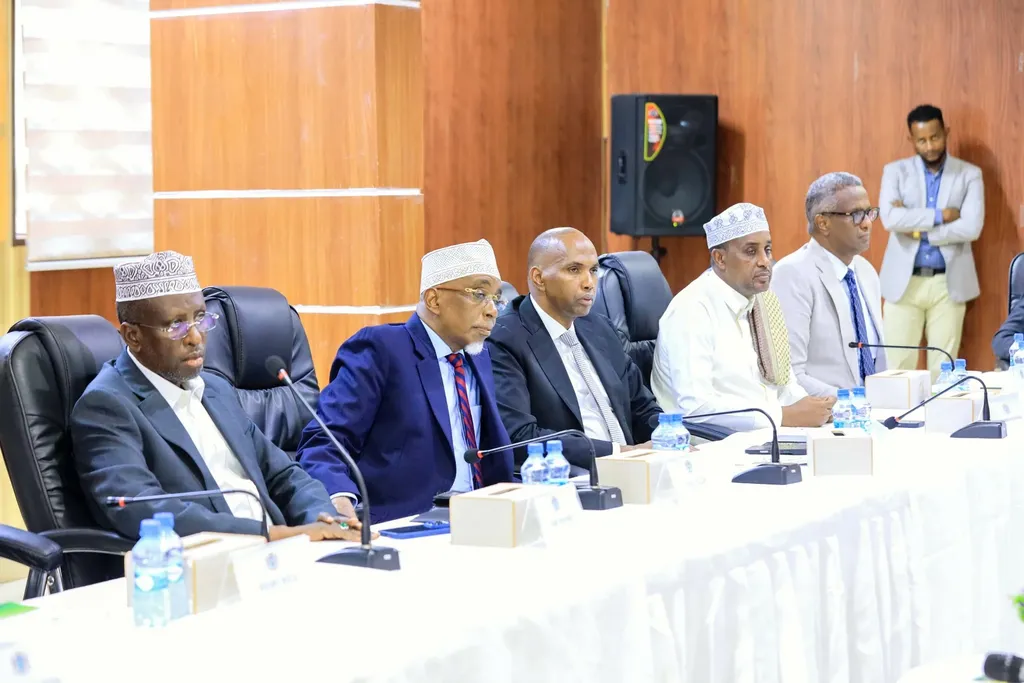 Madasha Samatabixinta Soomaaliyeed oo Federaalka ku eedeysay Dagaalka Beledxaawo.