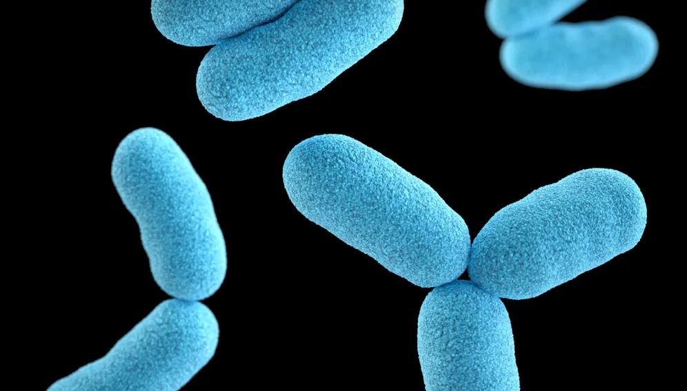 Puntland oo Digniin Caafimaad ka Soo Saaray Xanuunka gawracatada