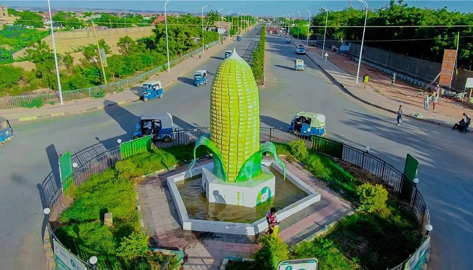 DDS: Kobaca dhaqaalaha Godey oo horumar sameynaya