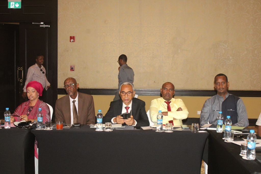 Daahfurka Mashruuca Isdhexgalka Dhaqaale ee Geeska Afrika