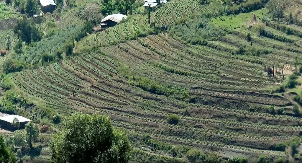 Itoobiya oo qorsheyneysa inay bilowdo beerista  4.6 Milyan oo Hectare 