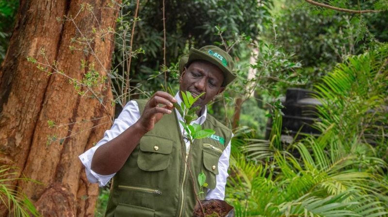 Ruto oo  daahfuray ololaha  lagu beerayo  100 milyan oo geed