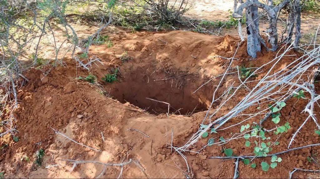 Dowladda Soomaaliya oo sheegtay in ay dishay xubno ka tirsan Al-Shabaab