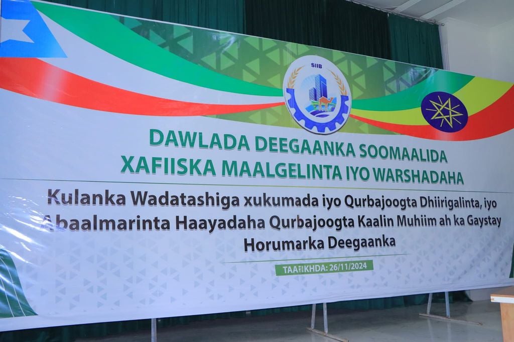 Shirweynaha Jigjiga: Iskaashiga Qurba-joogta iyo Horumarka DDS