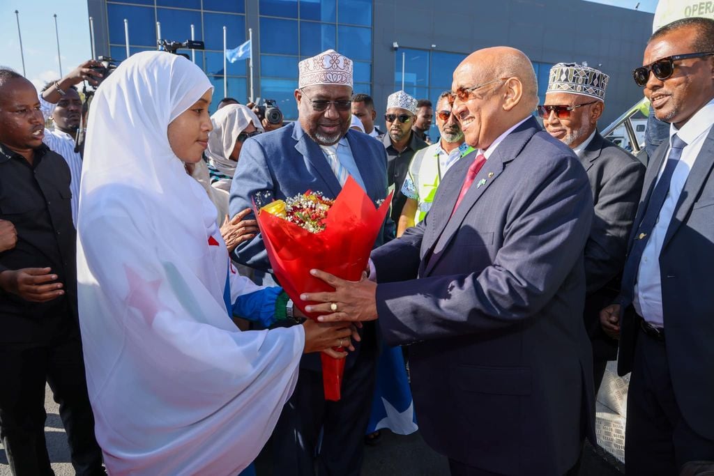 Dileita Maxamed Dileita oo si wayn loogu soo dhaweeyay Muqdisho